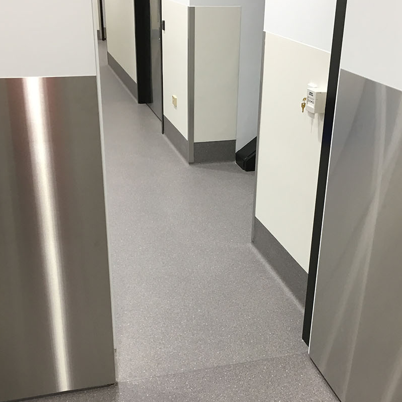 Armour Plate Doors​